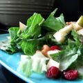 Wintersalat mit Obst und Zitronen-Mohn-Dressing