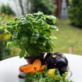 Food for Future – Wie ernähren wir uns[...]