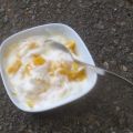 Mango-Joghurt