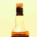 Whisky-Verkostung IV