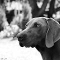 Paula wird 2 Jahre