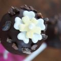 Kokos-Ananas-Joghurt Cake Pops