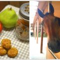 Pferdeleckerlies mit Apfel und Birne