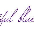 Blaubeeren