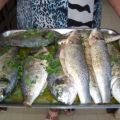 Fisch-Dorade gegrillt