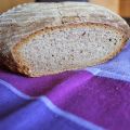 Bread Baking (Fri)day: Landbrot von Julia