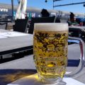 12 x GE - Meine Hirnwindungen unter der Lupe -[...]