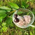 Kirsch-Quark-Eis