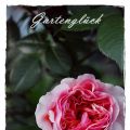 DEKOHERZAL,,,,liebt ROSA,,,,,und BLUMAL