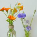Friday Flowerday mit Blumen von der Wiese und[...]