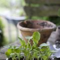 Ich bin im Garten