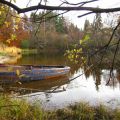 Schöner Herbstausflug