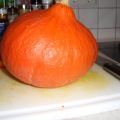 Kürbissosse