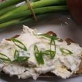Frischkäse: Apfel und Zwiebel