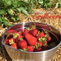 Erdbeeren Teil 1: Erdbeermuffins