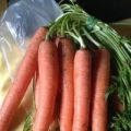 Karotten-Ingwer Suppe