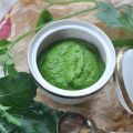 Wir kochen zusammen: Kohlrabi-Petersilien-Pesto