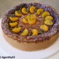 Mandarinen-Schmand-Kuchen