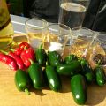 Jalapenos einlegen - der erste Versuch