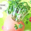 {DIY} Kresse Ei