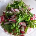 Quick and Dirty: Radieschensalat
