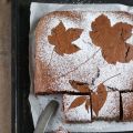 Herbstlicher Schoko-Gewürzkuchen
