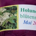 Holunderblütensirup 2009