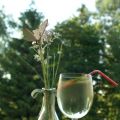 Himmlisch frisch und garantiert ohne Schwipps[...]