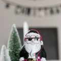 Last Minute Geschenkidee für deine Gäste