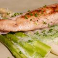 Cobiafilet an 2erlei Spargel und Bärlauchschaum