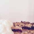 Himbeer-Crumble-Cake mit Erdnüssen und[...]