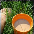 Vegan Wednesday Nr.151 - Sommermodus...