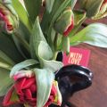 Nervennahrung - Wenn das Valentins-Geschenk[...]