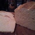 Corn Bread   /   Mais Brot / Brötchen