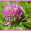ABC der Natur - U