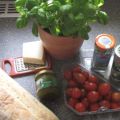 Bruschetta mit Parmesan und Pesto