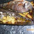 Fisch: Dorade auf Kartoffelbett