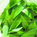 Bärlauch – Kartoffel – Suppe; ein leckeres und[...]