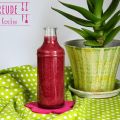 Aloe Vera Ananas Brombeer Vanille Smoothie