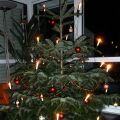 Fröhliche Weihnacht