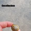Sieben Sachen Sonntag in der Natur
