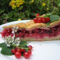 Gedeckter Johannisbeerkurchen (vegan)