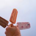Selbstgemachtes Stieleis (Popsicles!)