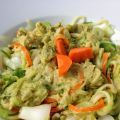 Vom Zoodles-Virus infiziert