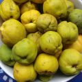 Heidelbeer-Apfel-Kompott mit Zierquitten