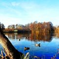 Sonntagsspaziergang ohne Brötchen...