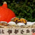 Kürbis-Mini-Stollen mit Preiselbeeren