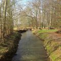 12 tel Blick im Februar und leckere Rotkohlsuppe