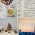 {Insta-Liebe}: Meine 12 von 12 Fotos im[...]