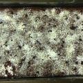 Schokoladen-Kirsch Kuchen ♥